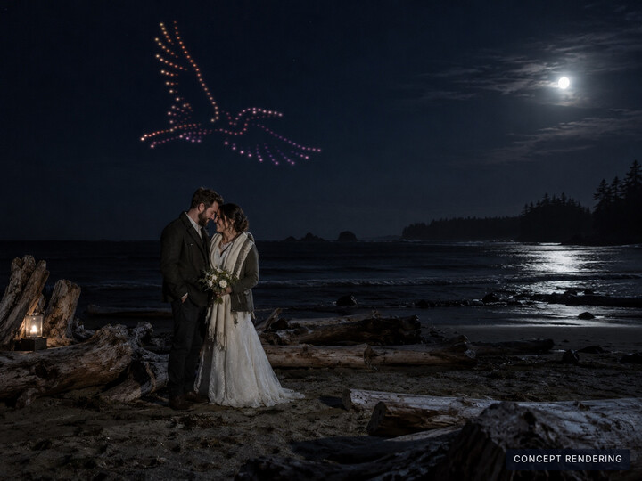 Concept: a couple on a moonlit beach beneath a delicate bird formation.